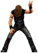 ������� PIXELMAN
