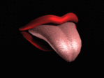 ������� LavilASS