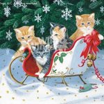 ������� Sofija_Dubrovina