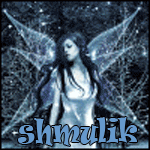 ������� shmulik