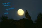 ������� I_am_the_Wolf