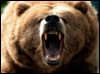 ������� good_trade
