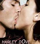  Harley_dove