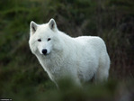 ������������� ������
