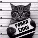 ������� ������������