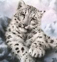 ������������� ������