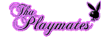 ������� harmful_g1rl