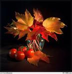 ������������� ������