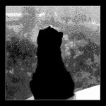 ������� BlackOnega