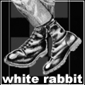������� White_Rabbit