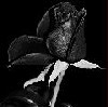 ������� Good_mummy