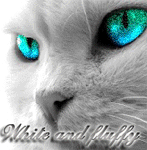 ������� Write_and_fluffy