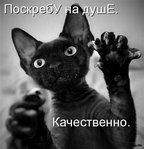 ������������� ������