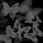 ������� Dovosha92