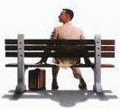 ������� forest_gump