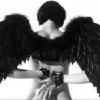  dark_wing