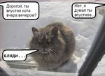 ������� Vasilisa111