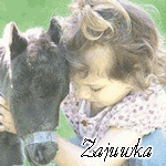  Zajuwka
