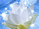 ������� Zengarden