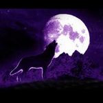������� lonely_rain666