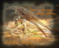  Golden_Angel