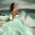 ������� Norma_Dgin_SG