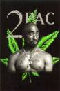 ������� TwoPac_Shakur