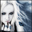 ������� _white_mouse_