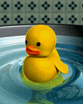 ������� __Sitting_Duck__