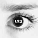 ������� LSD_butterfly