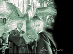  -Malfoy_Draco-