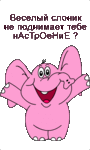 ������� -�����-