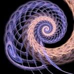  Spiralis
