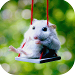 ������� KOSNA