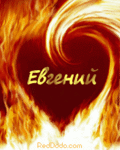 ������� johnysp228