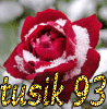 ������� tusik-1993