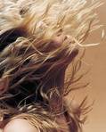 ������� Beauty1