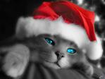 ������� GeLioZza
