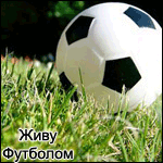  Koshechka_dlya_kotika