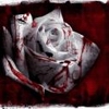 ������� Blood_Rose666