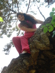 ������� Rich_Noveline