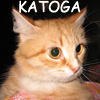  katoga