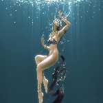 ������� Annyparadise