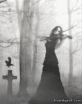 ������� your_dark_wings