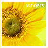 ������� VitaSpes