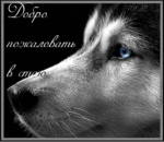 ������� Deka_De_Vulf