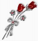 ������� Cherry_don