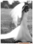 ������� -_White_Angel_-