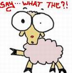 ������� SHEEPFUCKERS