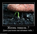 ������������� ������